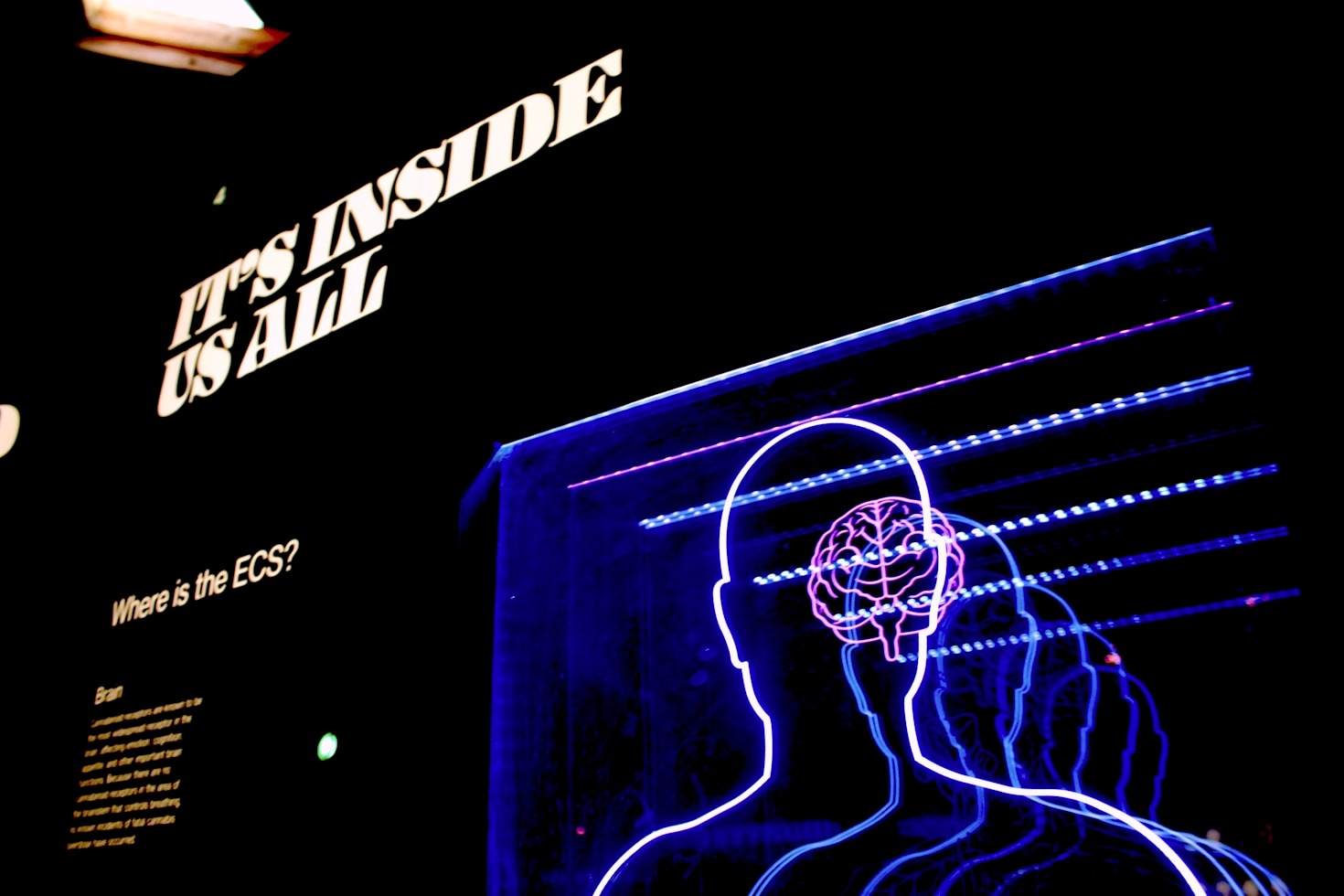 Why Emotional Bias Can Derail Your Decisions